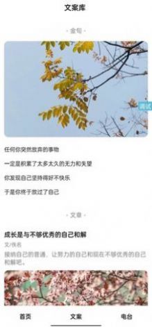 薛喵文案馆app下载