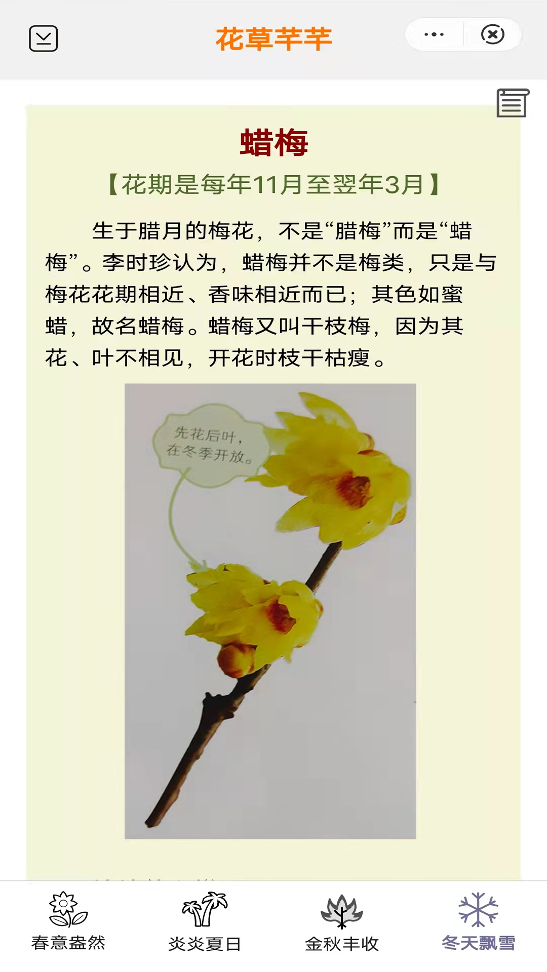 安卓花草芊芊软件下载