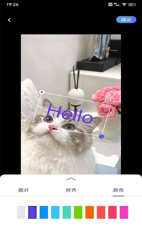 安卓小猪翻译器软件下载