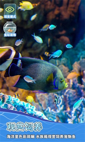 安卓假装鱼缸模拟器软件下载