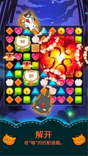 安卓花梢猫软件下载