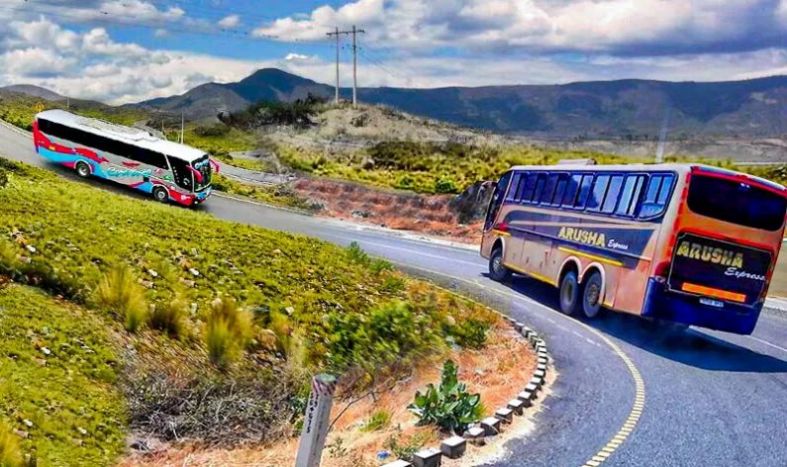 手动挡巴士模拟器游戏安卓最新版 v1.0.3