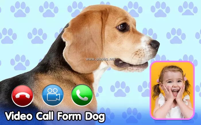 video call from cute dog app