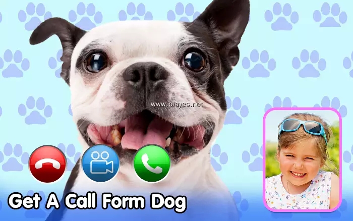 安卓video call from cute dog appapp