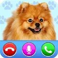 video call from cute dog app