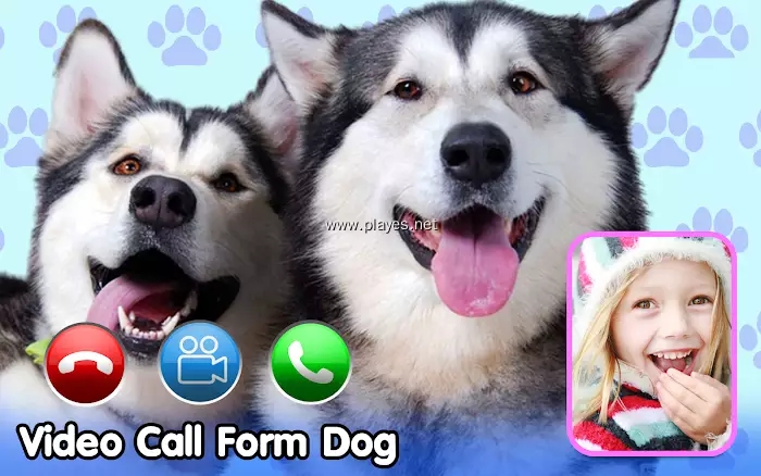 安卓video call from cute dog app软件下载