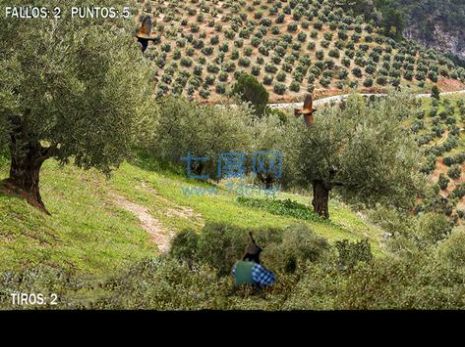 安卓画眉狩猎游戏安卓版(caza zorzal)app