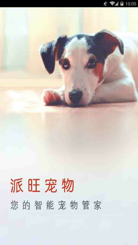 派旺宠物app