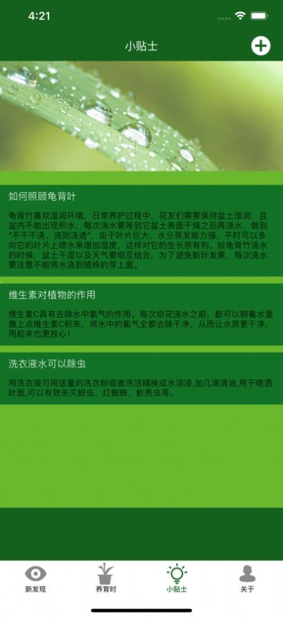 安卓满眼青翠软件下载