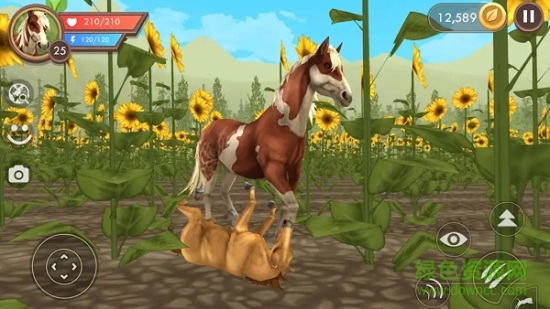 安卓饿狼来了游戏软件下载