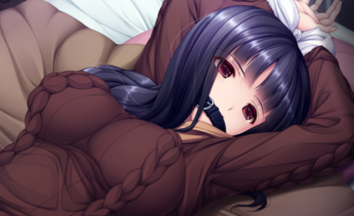 安卓流氓医生3app