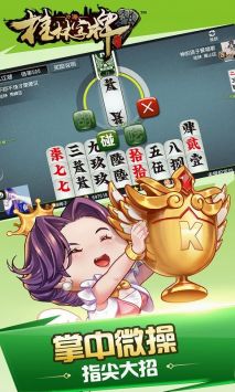 安卓天天爱八一字牌软件下载