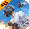pubg1.9.0版本下载体验服国际服 v1.8.0