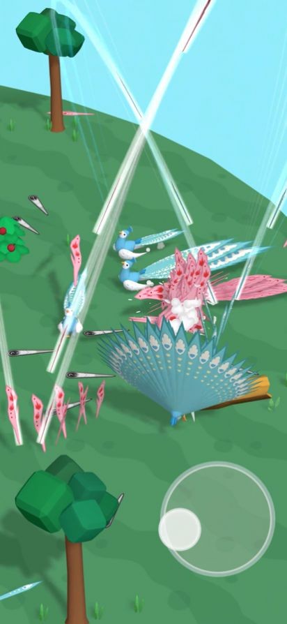 孔雀拔毛大赛免广告下载