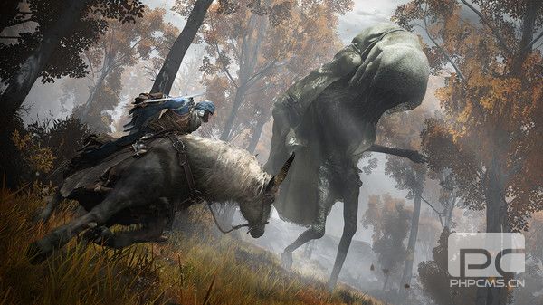 艾尔登法环生命加多少好 老头环生命加点收益性价比