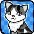 跑跑云养猫安卓正版游戏 v1.01