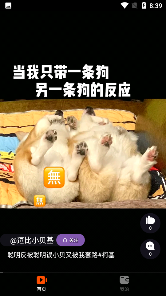 查猪短视频app