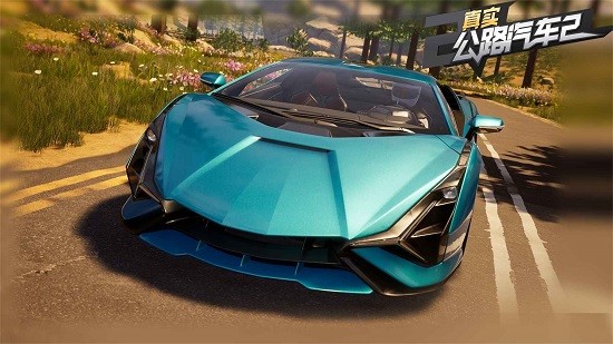 真实公路汽车2无限金币