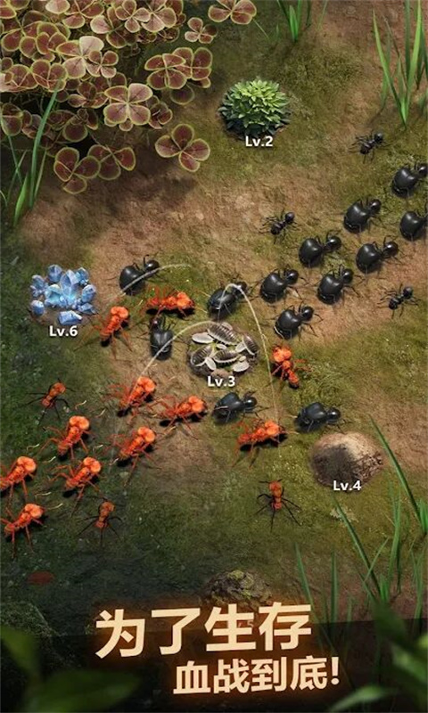 安卓荒野蚂蚁模拟游戏官方正版 v1.0软件下载