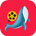 鲸鱼视频编辑app官方版 v1.1