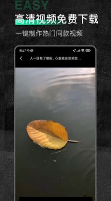 安卓口袋今日素材app