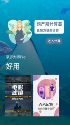 录屏大师pro