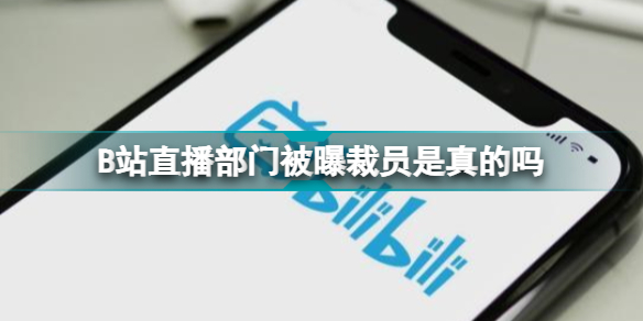 b站直播部门被曝裁员是真的吗 b站回应直播业务裁员