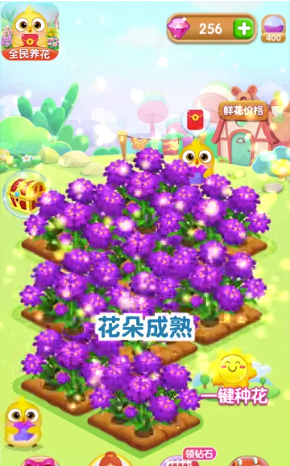 安卓全民养花红包正版app