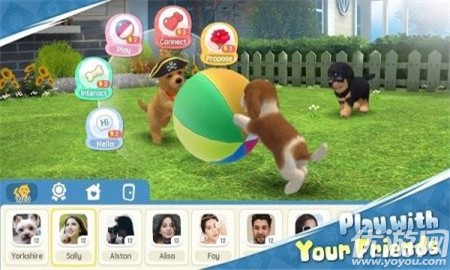 安卓梦幻小狗2022app