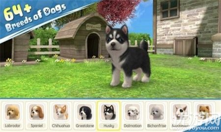 安卓梦幻小狗2022软件下载