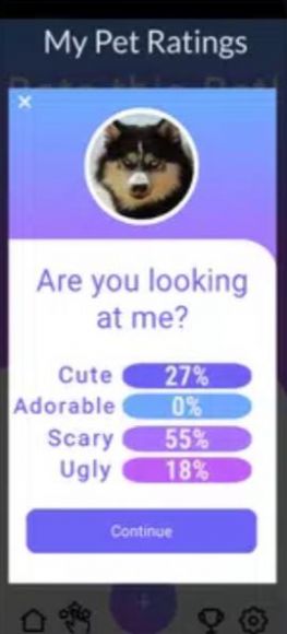 安卓宠物面部表情手机版最新版 v2.2.4app