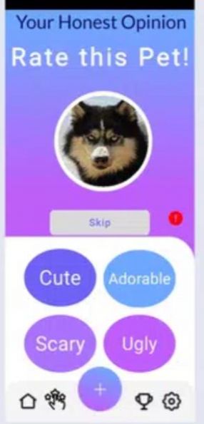 安卓宠物面部表情手机版最新版 v2.2.4软件下载