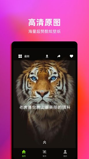 安卓live动态壁纸appapp