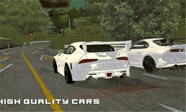 安卓纯粹赛车软件下载