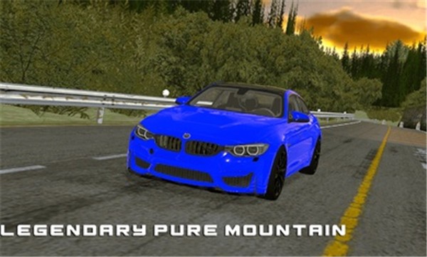 纯粹赛车app下载