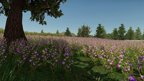 安卓我的乡村生活破解版app