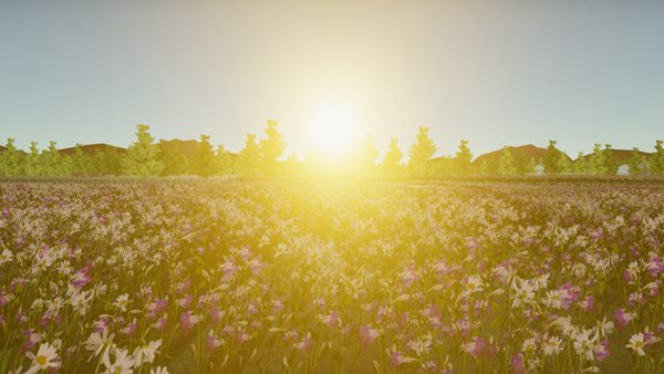 我的乡村生活破解版下载