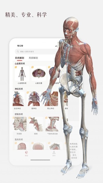 安卓鍙ｈ嬩汉浣撹В鍓 瀹夊崜鐗坴2.2.3app