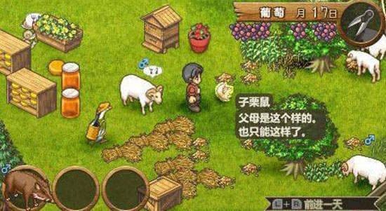 安卓欢迎来到绵羊村手机版app