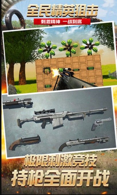 安卓全民精英狙击软件下载