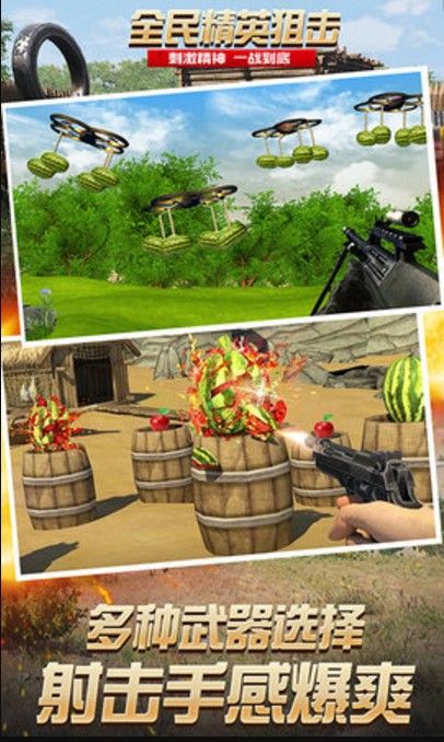 全民精英狙击下载