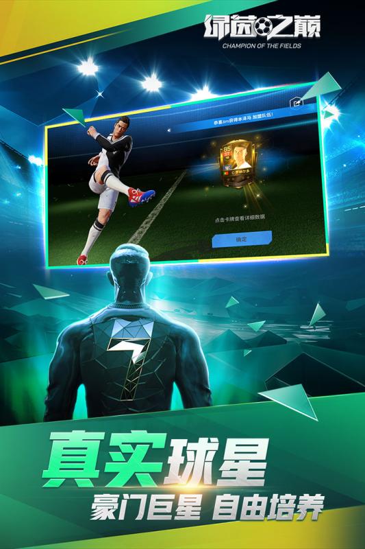 绿茵之巅 九游版