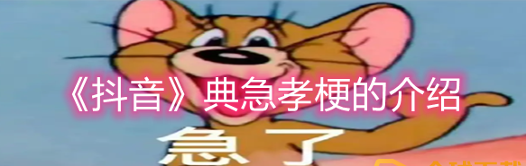 抖音典急孝是什么梗