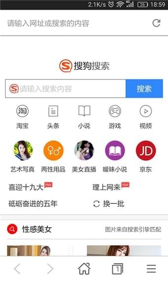 安卓秘密浏览器app