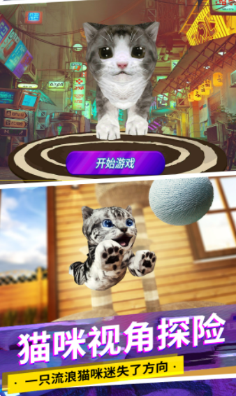 猫咪城市模拟