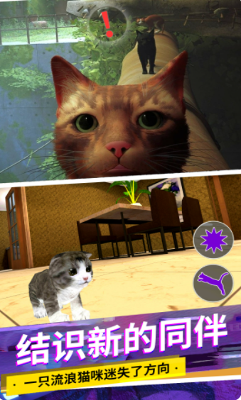 安卓猫咪城市模拟软件下载