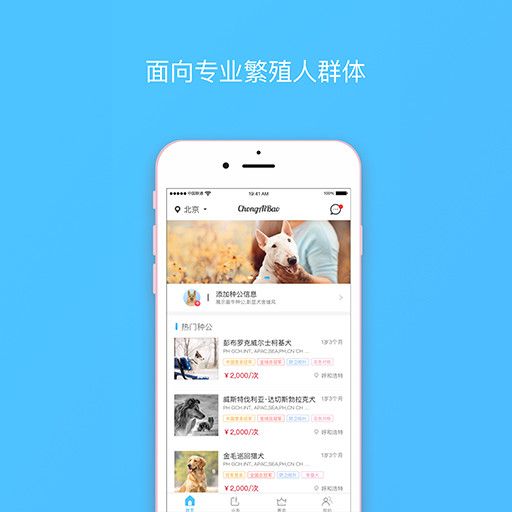 宠爱堡下载