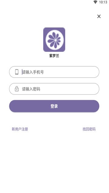 紫罗兰