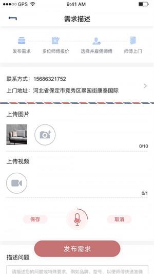 家庭猫