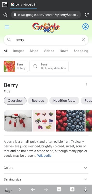 安卓berry浏览器app